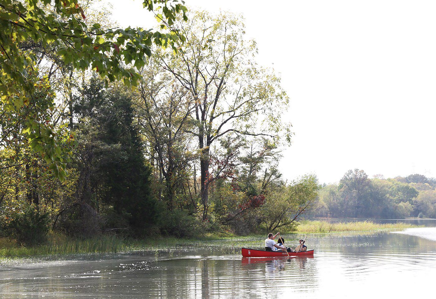 Beaverdam Park -- Paddlers